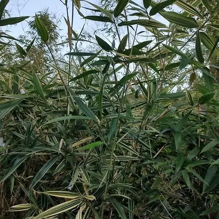 Des 2 Chenes Entre Avenue Verte, Lacs, Piscine Et Casino Semesterbostad Forges-les-Eaux