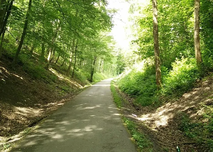 Des 2 Chenes Entre Avenue Verte, Lacs, Piscine Et Casino Forges-les-Eaux