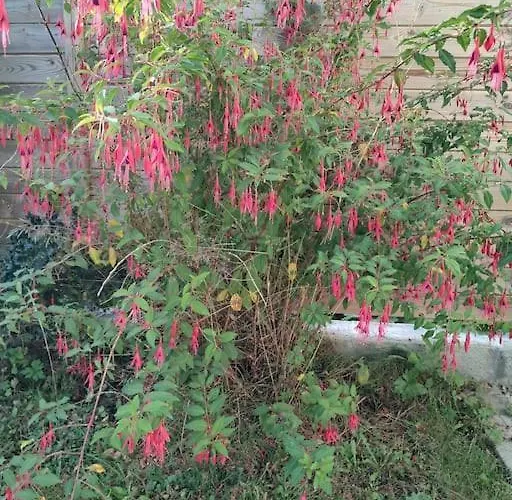 Des 2 Chenes Entre Avenue Verte, Lacs, Piscine Et Casino Forges-les-Eaux
